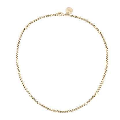 Thin Luciana Box Chain Necklace